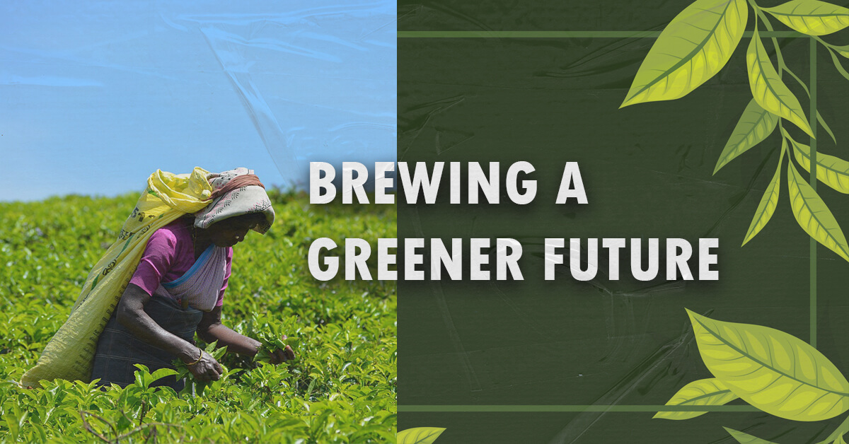Brewing a Greener Future